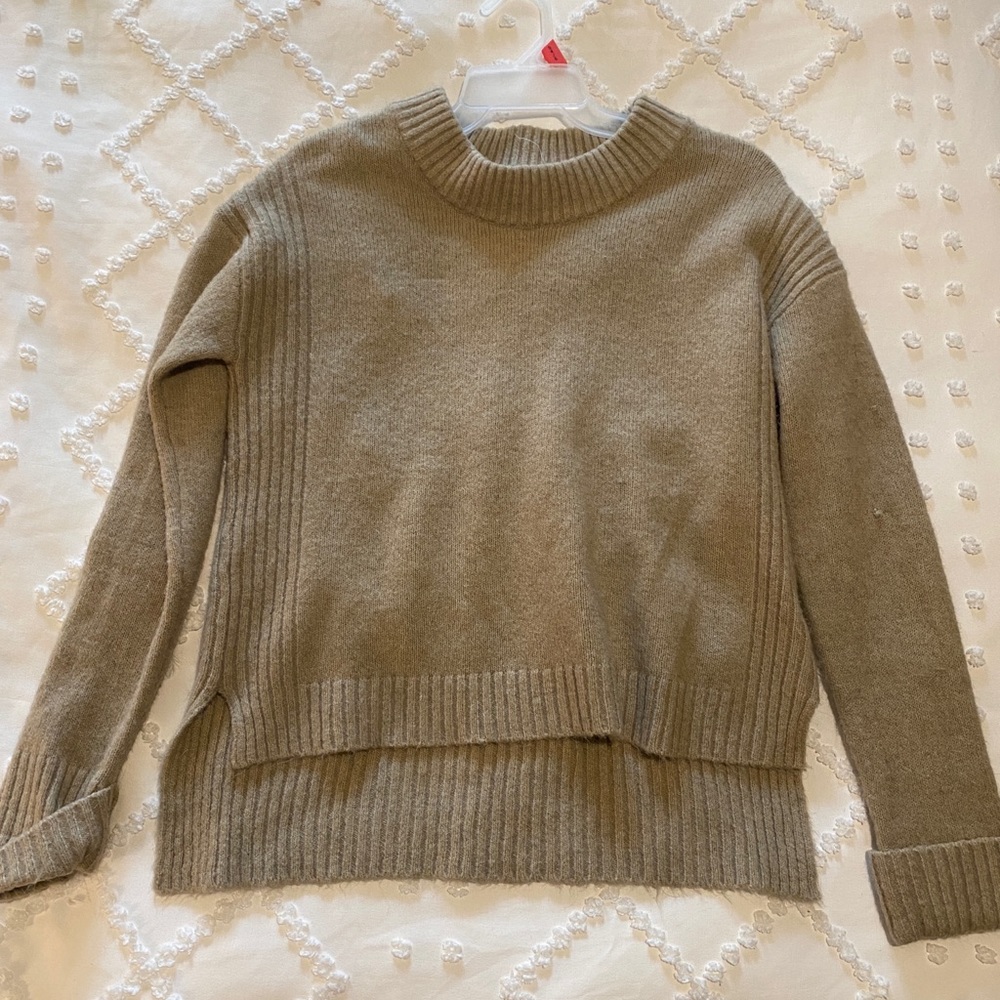 Shrinking Violet- Tan sweater